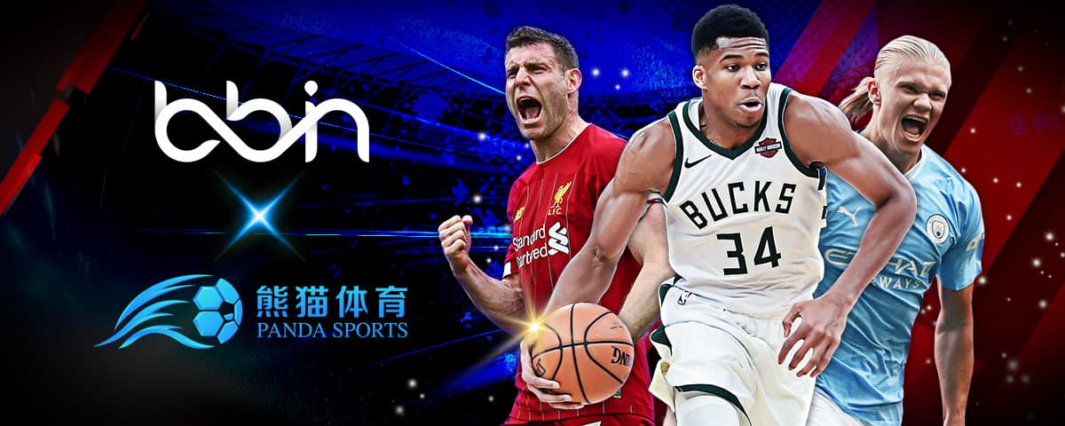 到底是什么